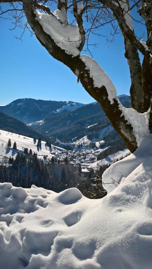 Das Hochkonig Dienten am Hochkönig Exteriér fotografie