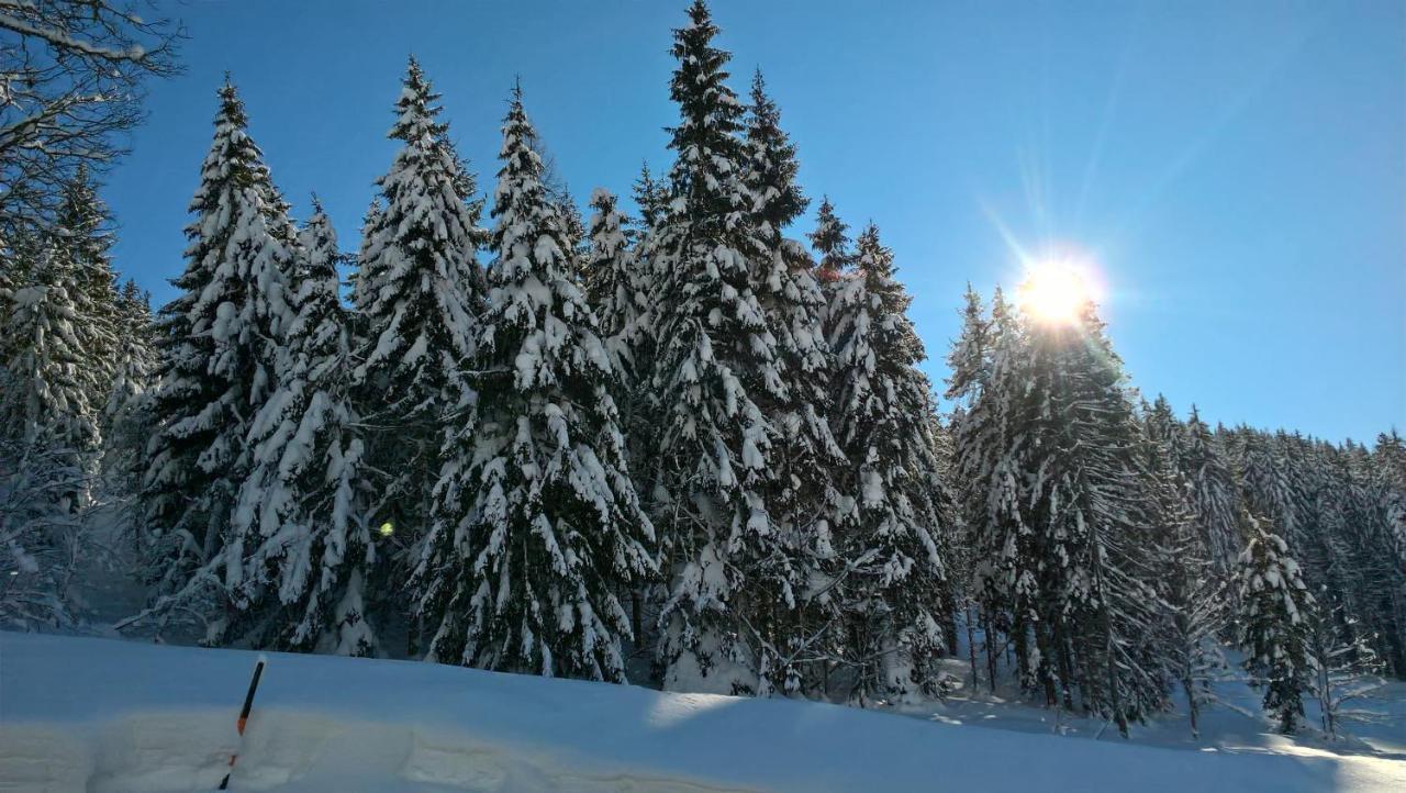 Das Hochkonig Dienten am Hochkönig Exteriér fotografie