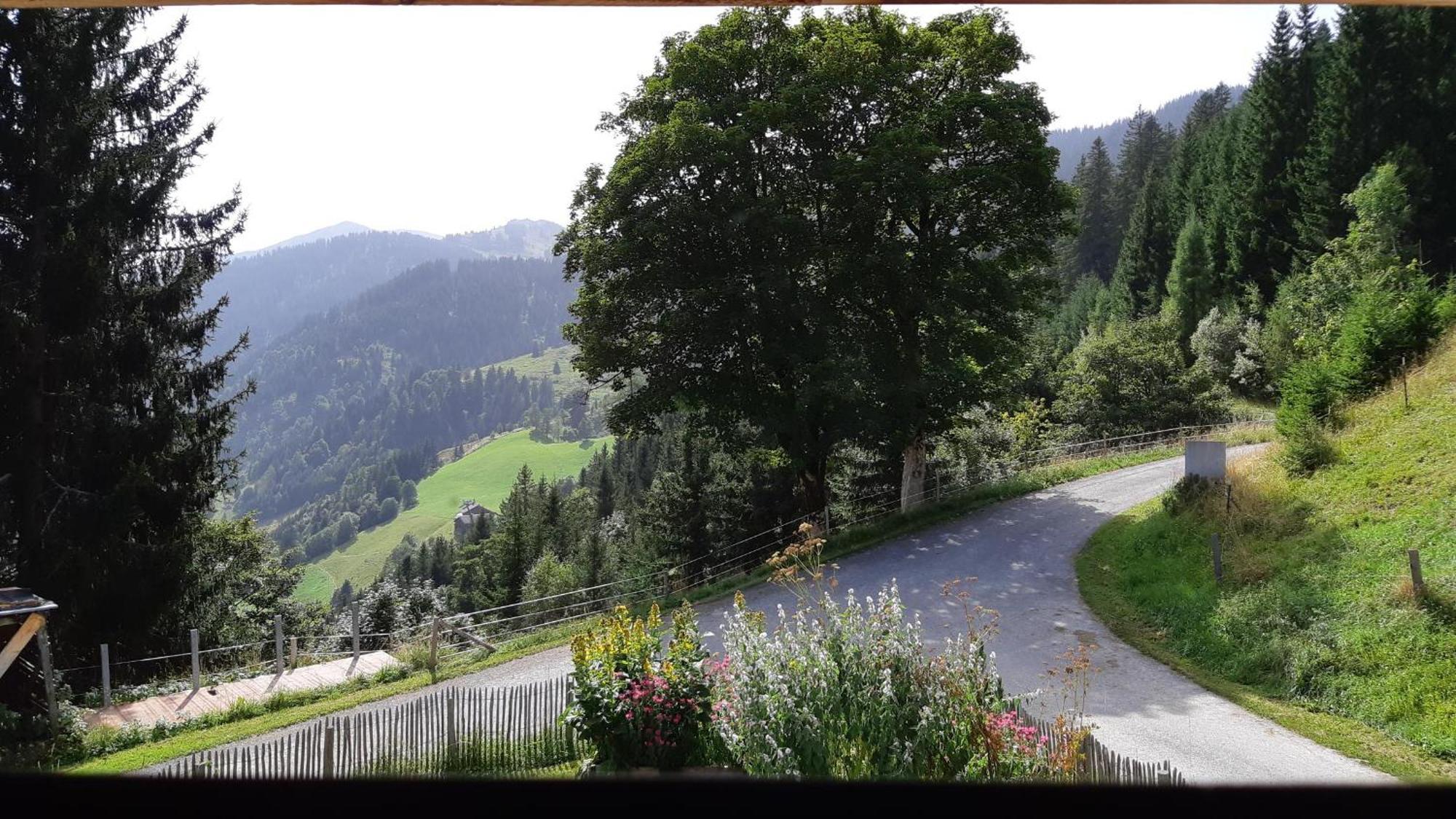 Das Hochkonig Dienten am Hochkönig Exteriér fotografie