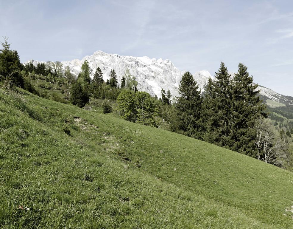 Das Hochkonig Dienten am Hochkönig Exteriér fotografie