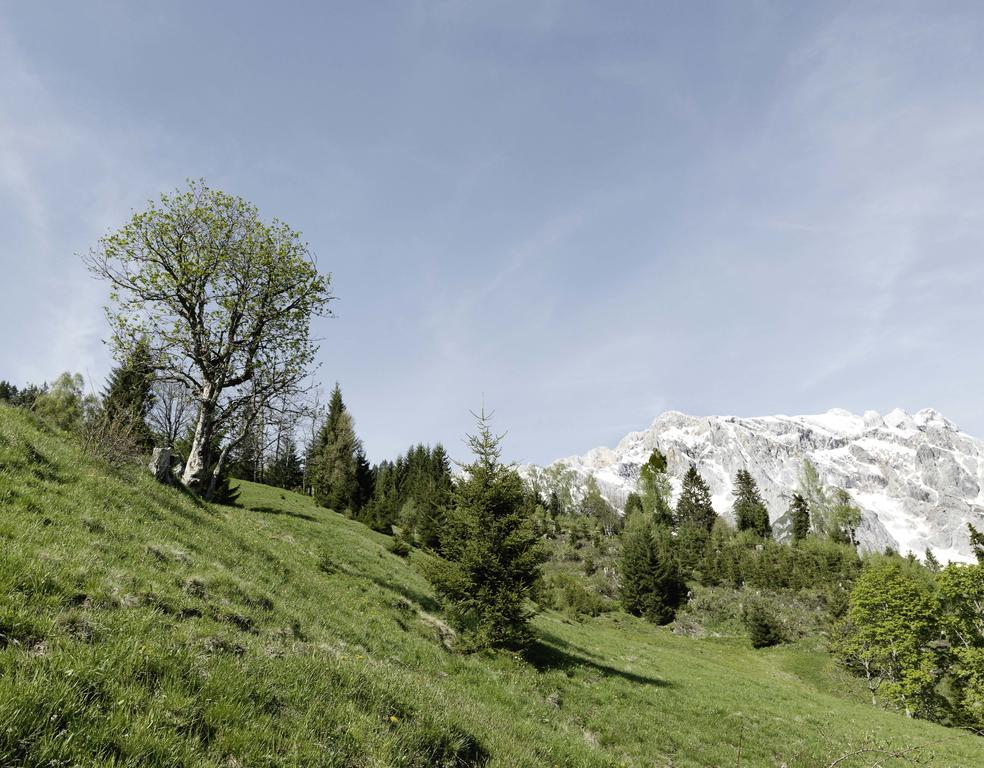 Das Hochkonig Dienten am Hochkönig Exteriér fotografie