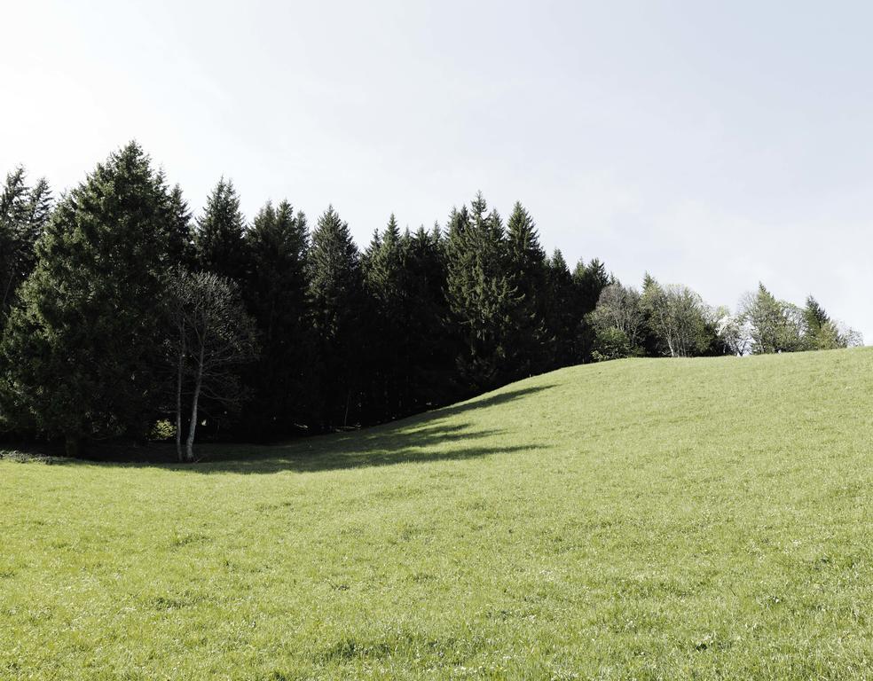 Das Hochkonig Dienten am Hochkönig Exteriér fotografie